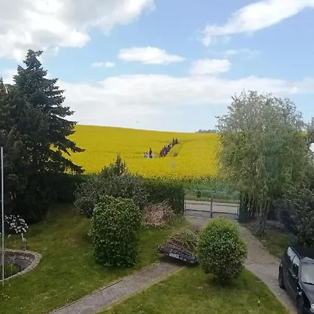 Wunderschoenes Am Schilfufer In 度假居 *